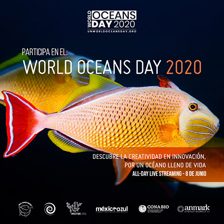 World Oceans Day